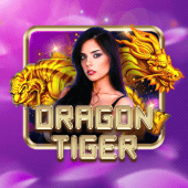 dragon tiger okplay live casino