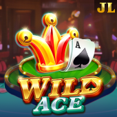 wild ace okplay slot